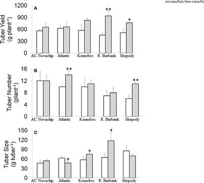 The enhancement of photosynthetic performance, water use efficiency and potato yield under elevated CO2 is cultivar dependent